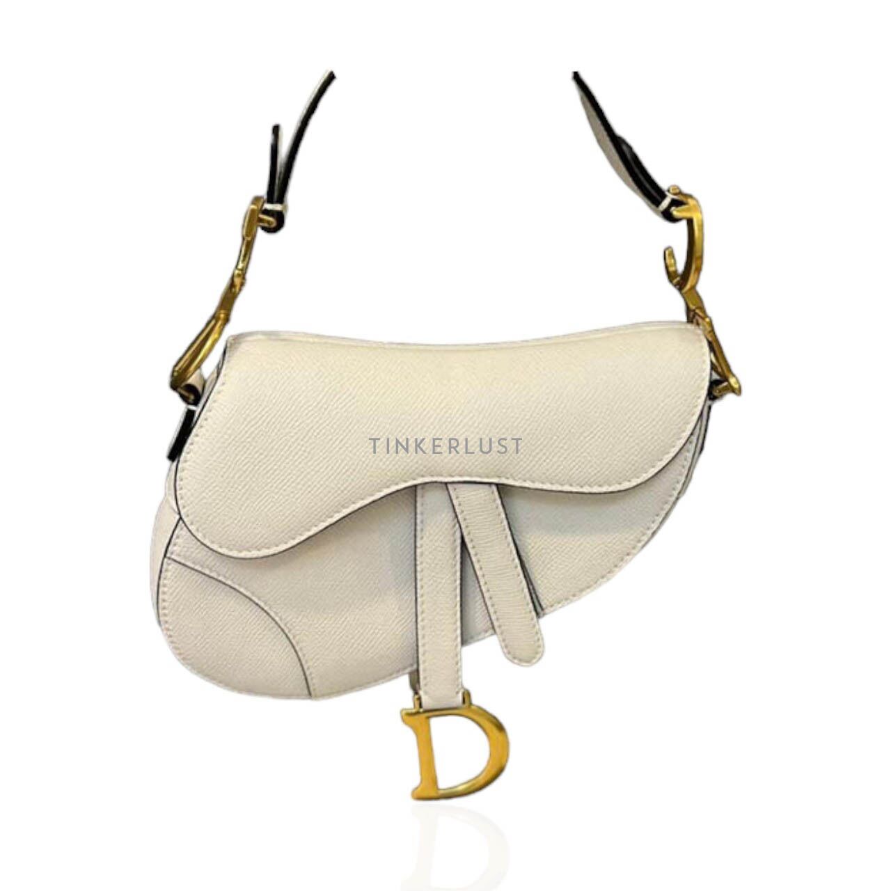 Dior saddle mini on sale